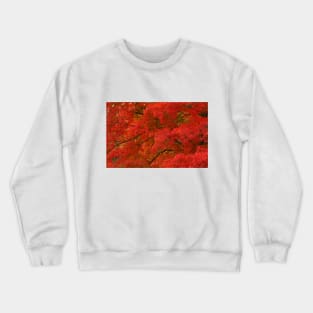 Maple Tree in Autumn Crewneck Sweatshirt